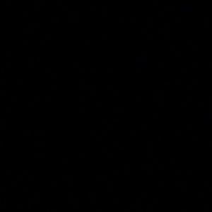 Meet your Posher, Tynesha